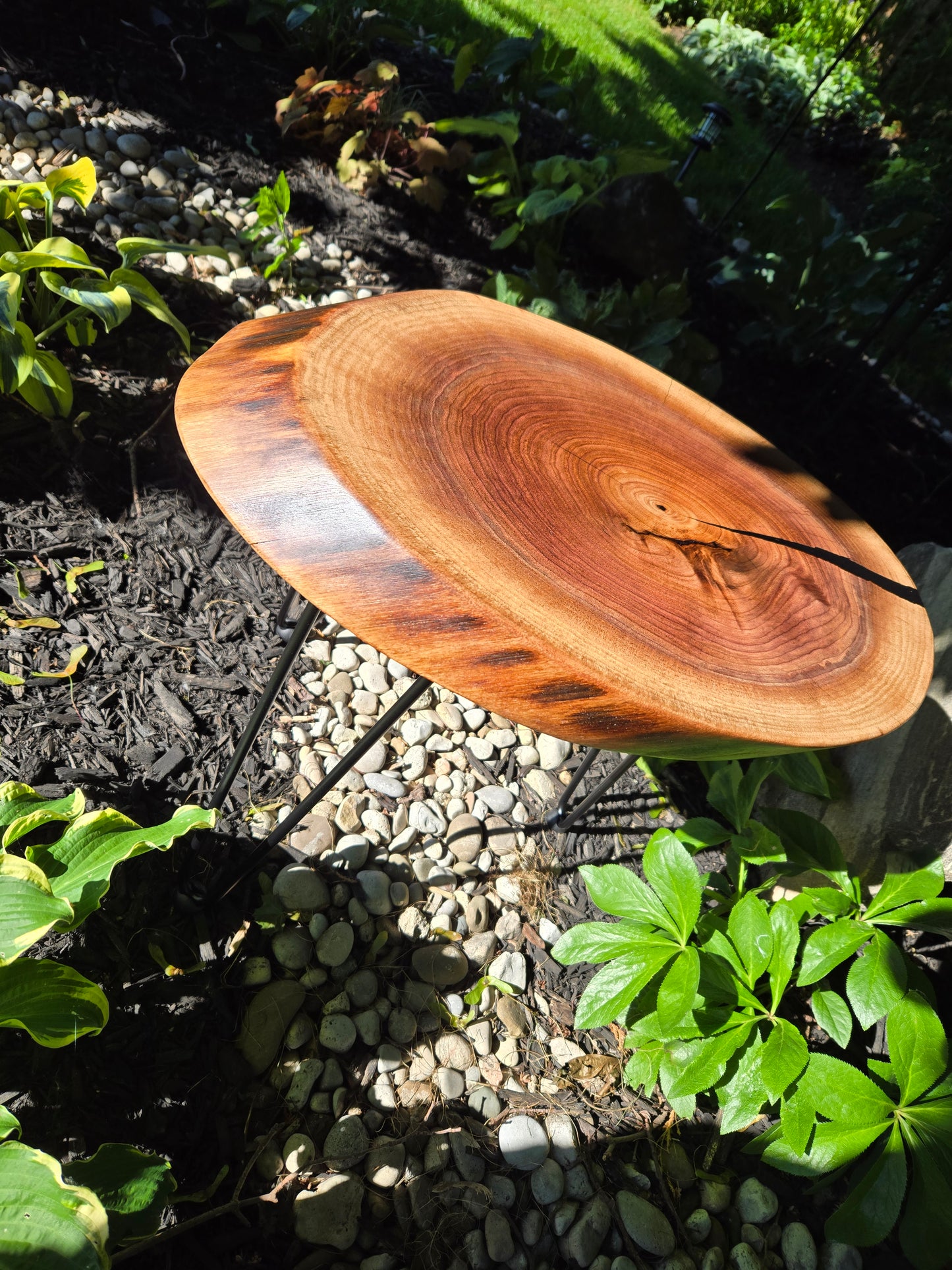 Table, Black Walnut Cookie Accent Table