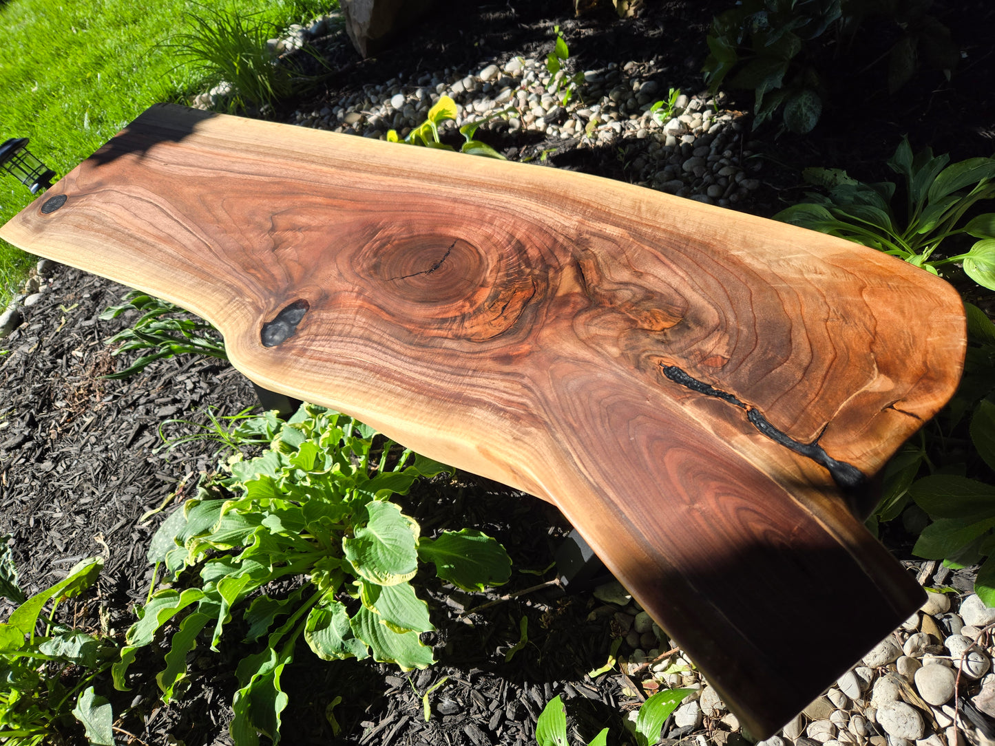 Bench, Live Edge Walnut Bench